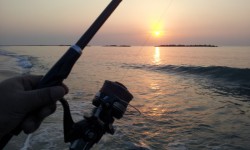 マゴちんゲット♪